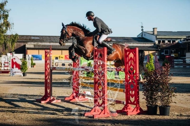 2B4A0784 | pixelfaenger - Realisiert mit Pictrs.com