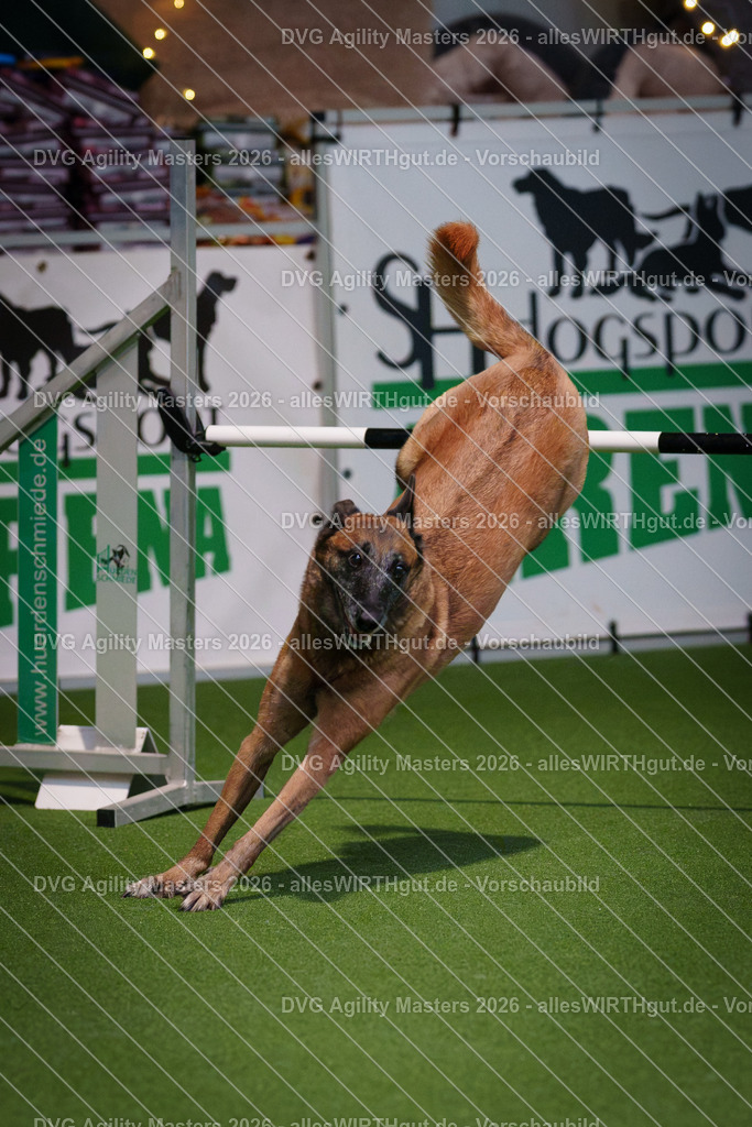 allesWIRTHgut_Tierfotografie-DVG_Agility_Masters_2026-14_45-7R501193 | Professionelle Tierfotografie in Mönchengladbach von Daniel Wirth (allesWIRTHgut). Liebevolle & natürliche Bilder von Hunden & Katzen für unvergessliche Erinnerungen.