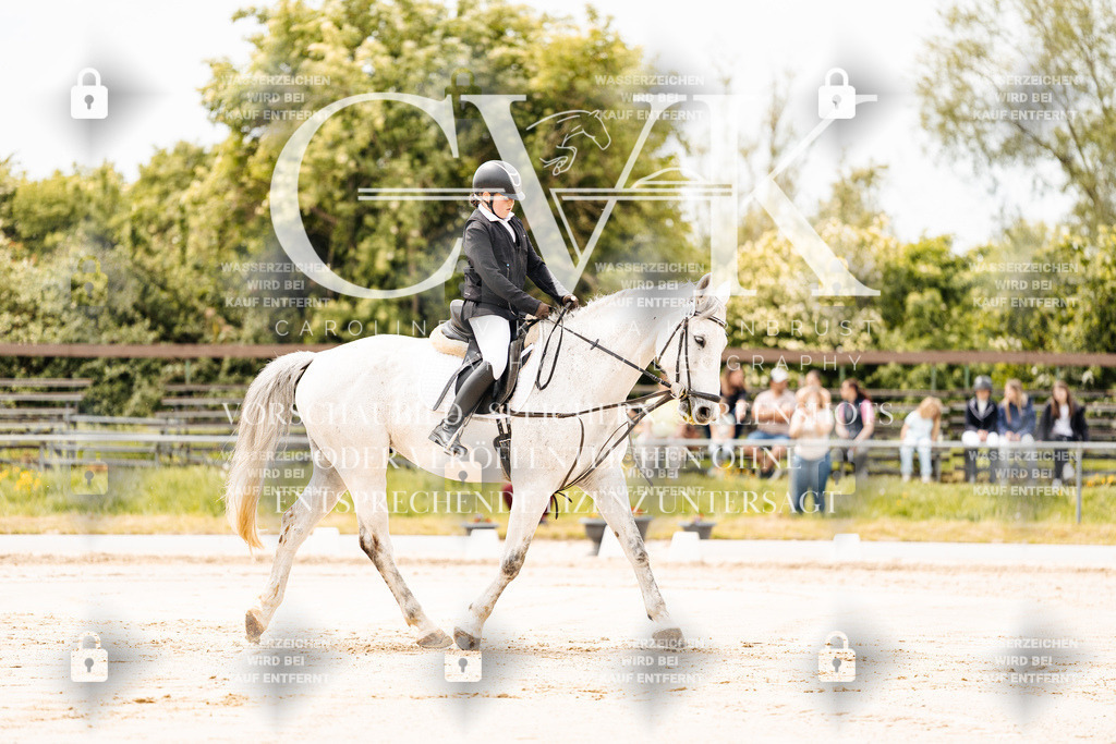 CK902663 | Turnierfotografie Pferdefotografie Trier Rheinland-Pfalz Pferdesport Reitsport Tierfotografie Sportfotografie Pferdevideo Pferdevideografie Equestrianvideography equestrianphotography  - Realisiert mit Pictrs.com