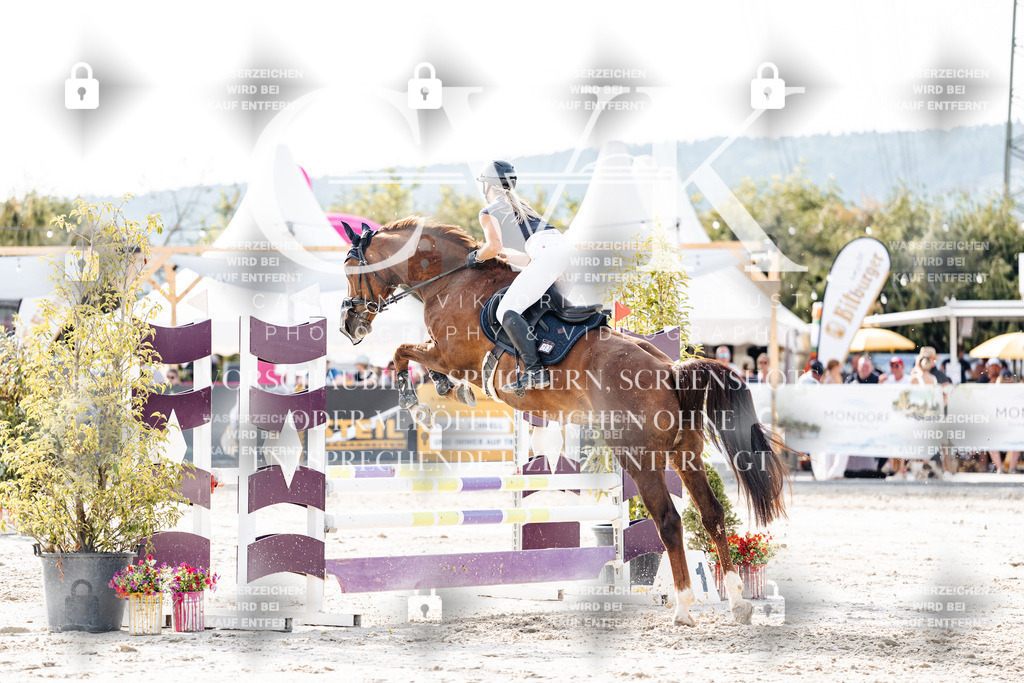 CK906053 | Turnierfotografie Pferdefotografie Trier Rheinland-Pfalz Pferdesport Reitsport Tierfotografie Sportfotografie Pferdevideo Pferdevideografie Equestrianvideography equestrianphotography  - Realisiert mit Pictrs.com