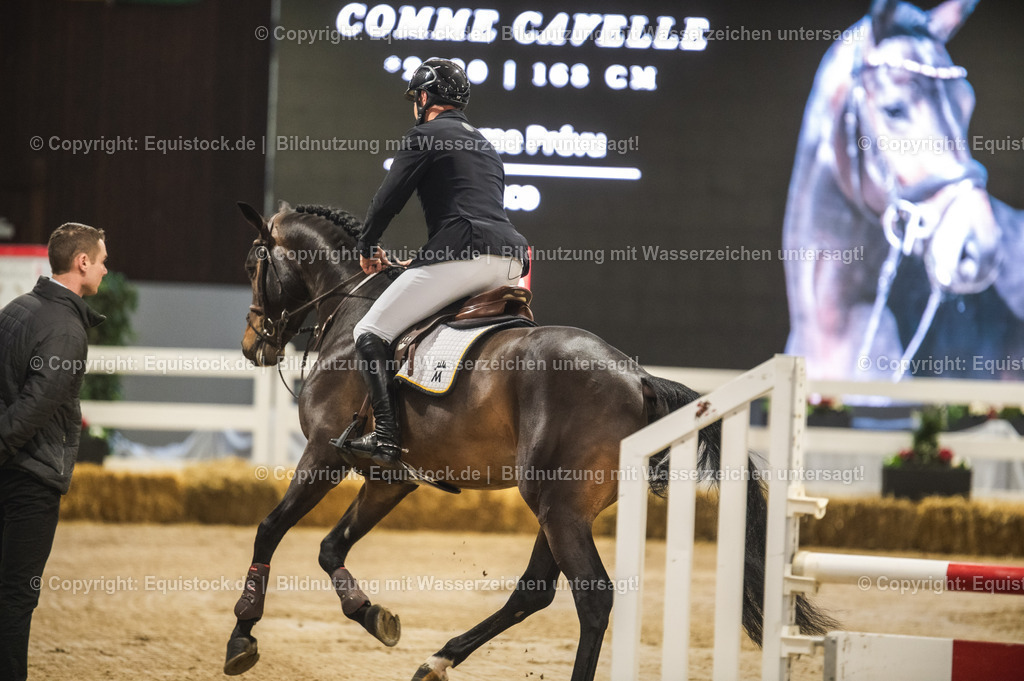 20240302_Hengstvorstellung_Marbach_TOMsPiC_0098-2 | equistock