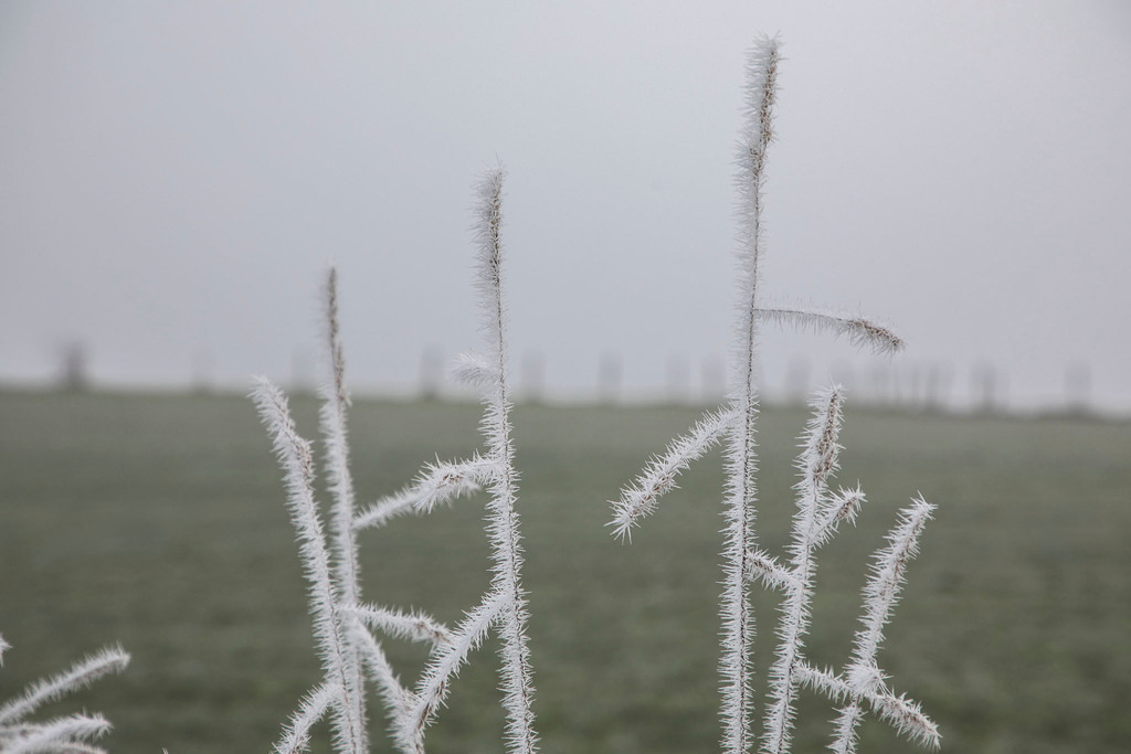 Raureif_Weisten_101222_27 | Bildergalerie von Sport-Ereignissen aber auch von weiteren spannenden Dingen - nicht nur vom Niederrhein. In Anlehnung an den bekannten Spruch von Hanns Dieter Hüsch heißt das Motto: "Niederrhein ist überall".  - Realisiert mit Pictrs.com