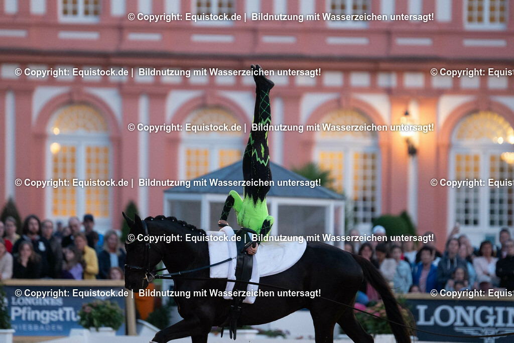 20230527_Voltigieren_NASPA_Flutlicht_0408 | equistock