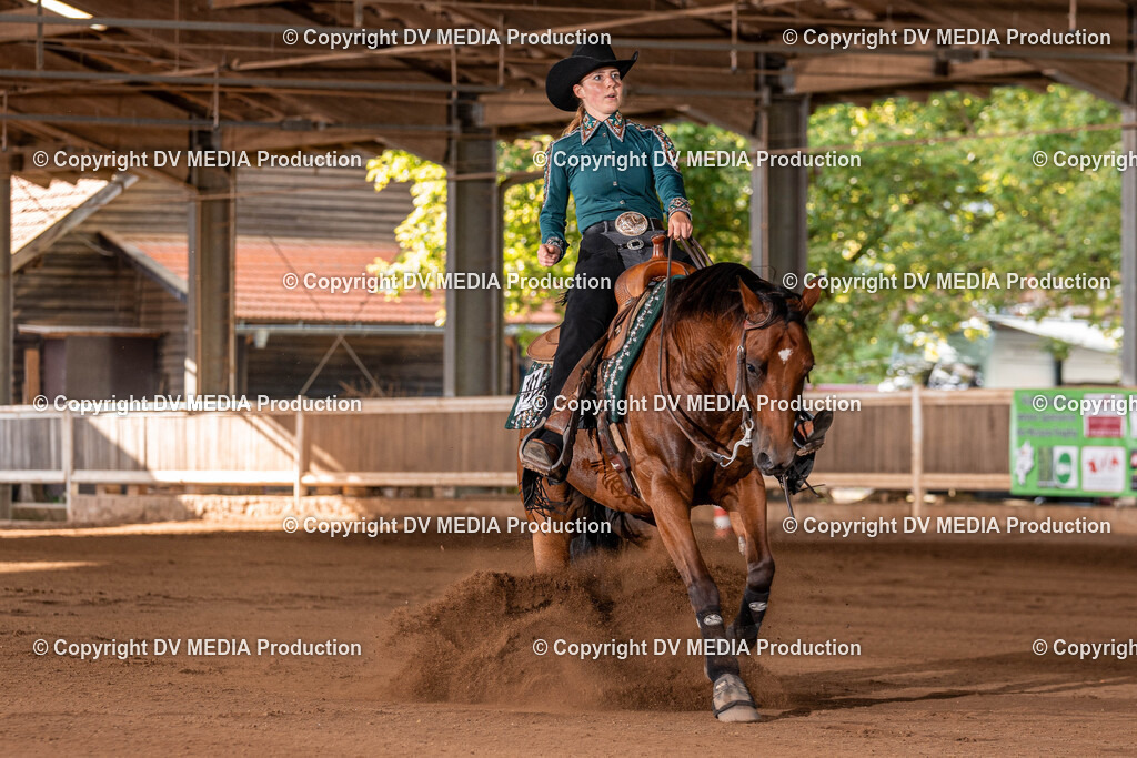 Erbach Tag 2-1146 | dv-media-shop - Realisiert mit Pictrs.com