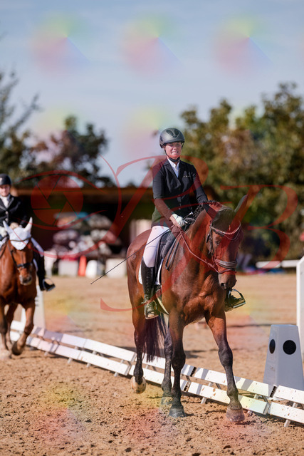 2026_10_03_Siefer-Hof_125937_Z81_50867227 | Professionelle Reitsport-, Turnier- und Eventfotografie von Robert Broda. Galerien mit ausgewählten und bearbeiteten Bildern direkt online ansehen und bestellen.