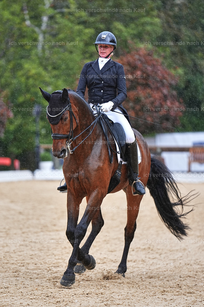 8_1-020-Klasse S_  -Marixx-4369 | working equitationturnier fotograf videograf stoibphotography marixx film working equitation deutschland reitsport turnierfotografie eventfotografie equestrian events