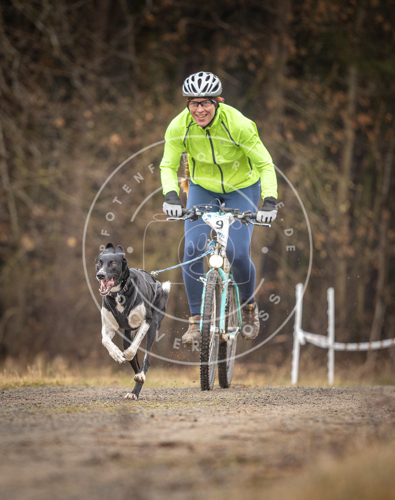 DV3A3198 | Hundefotografie, Tierfotograf, Pfotenfotografie, Fotoshooting Hund, Hunde Portrait, Hundesport, Hundeportraits, Heideshooting, Hunde, Sportfotograf, Hundefotograf, Turnierhundsport, THS,  - Realisiert mit Pictrs.com