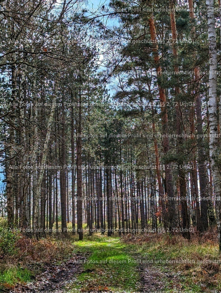 PXL_20240324_133605543-01 | krollfotografie - Realisiert mit Pictrs.com