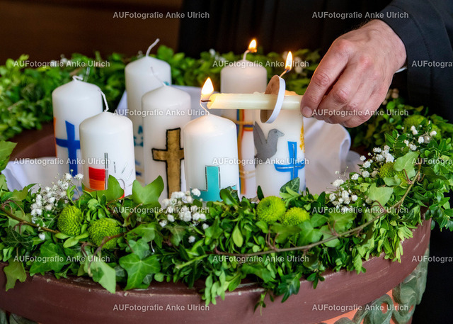 _MG_0599 | AUFotografie Anke Ulrich - Realisiert mit Pictrs.com