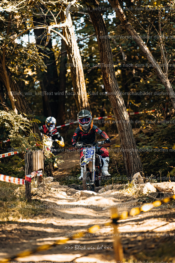 E68A5564 | blick_win_kel