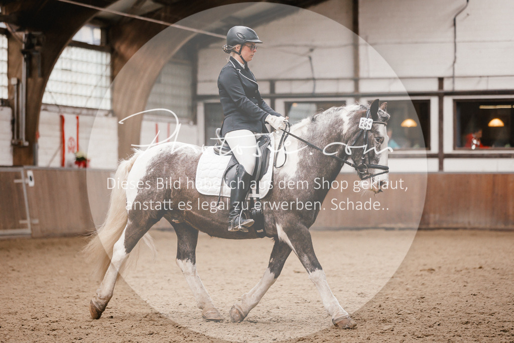 3I6A7504 | Stimmungsvolle Portraits und Reitsportfotografie im Ruhrgebiet und im Münsterland.

Pferdefotografie, Hundefotografie, Tierfotografie, Reportagen, Portraits von Tier und Mensch, Turnierfotografie in Bochum, Recklinghausen, Marl, Haltern am See, Dülmen.. - Realisiert mit Pictrs.com