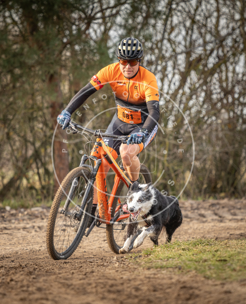 Pfotenfotografie_DV3A8275 | Hundefotografie, Tierfotograf, Pfotenfotografie, Fotoshooting Hund, Hunde Portrait, Hundesport, Hundeportraits, Heideshooting, Hunde, Sportfotograf, Hundefotograf, Turnierhundsport, THS,  - Realisiert mit Pictrs.com