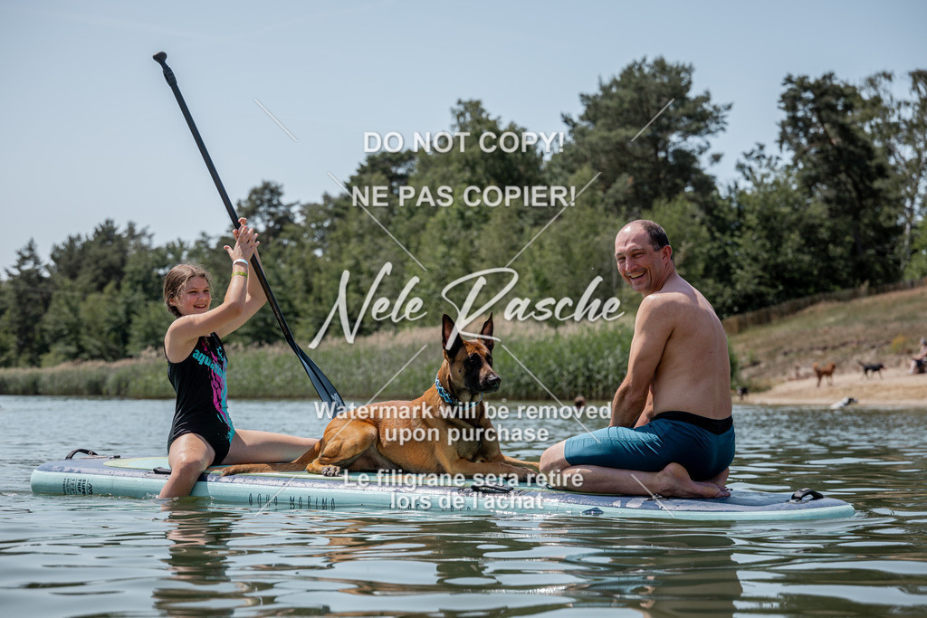 nelerasche_saSUP1_91 | nelerasche