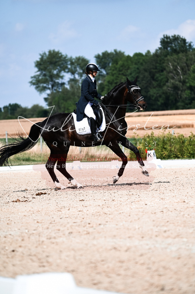 DSC_3329 | Pferde- und Turnierfotografie in Westsachsen. Pferdeportraits, Auftragszeichnungen und intuitive Kunst.