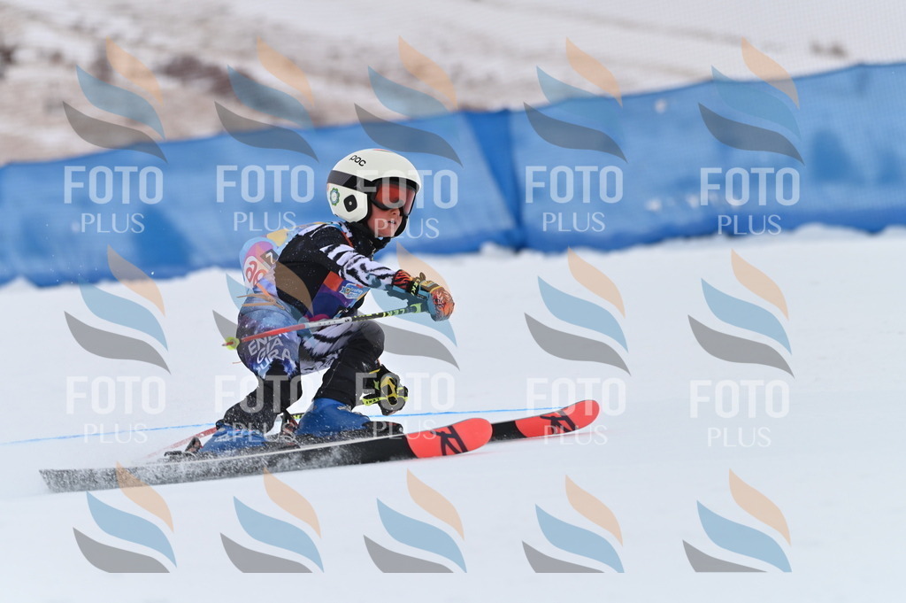 BGV_1733 | holidayphoto