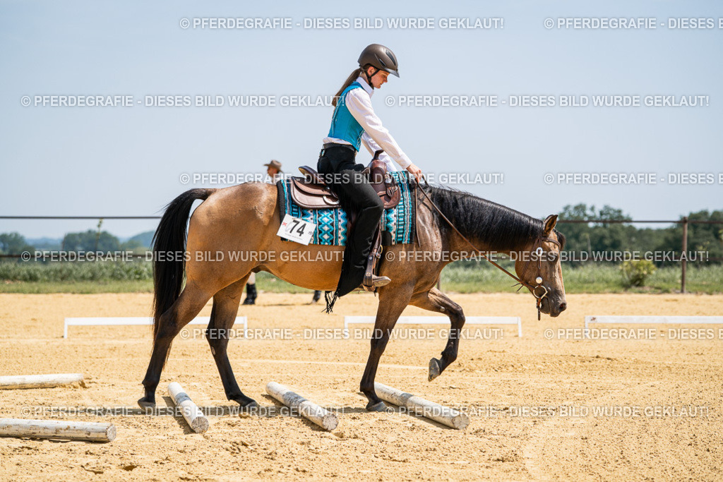 DSC01052 | Pferdegrafie