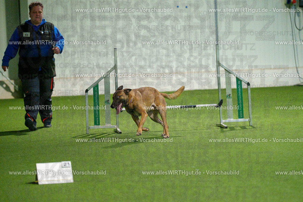 7R507503 | Professionelle Tierfotografie in Mönchengladbach von Daniel Wirth (allesWIRTHgut). Liebevolle & natürliche Bilder von Hunden & Katzen für unvergessliche Erinnerungen.