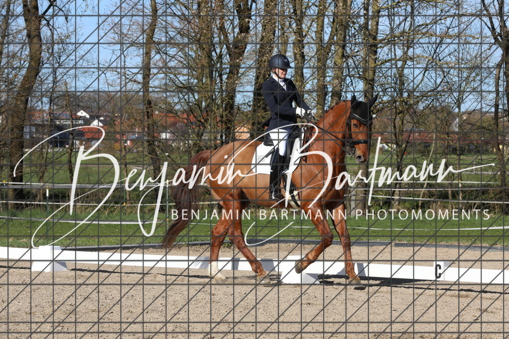 AZ2A5373 | Benjamin Bartmann Photomoments