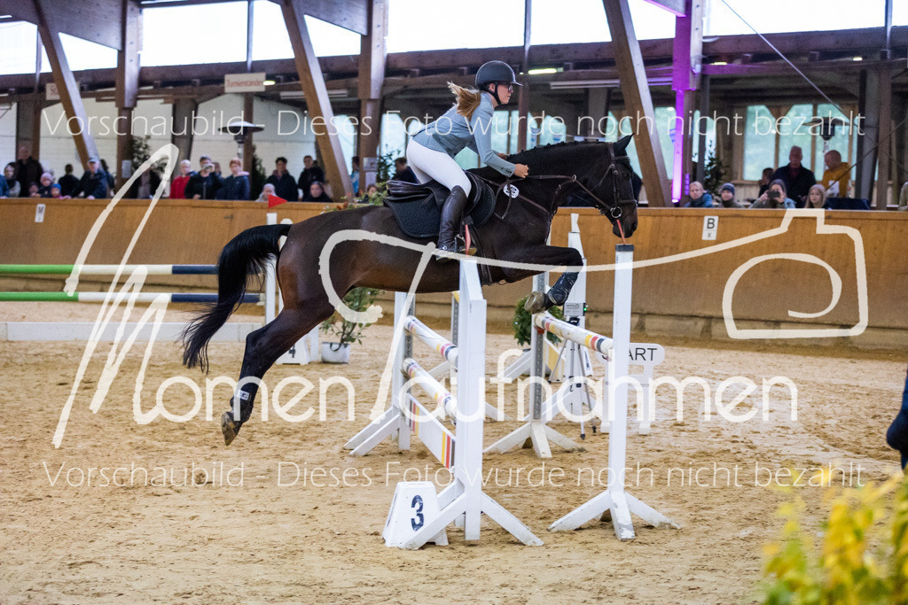 Sth-A-Spr.m.st.A.-004 | MomenTaufnahmen Pferdesportfotos