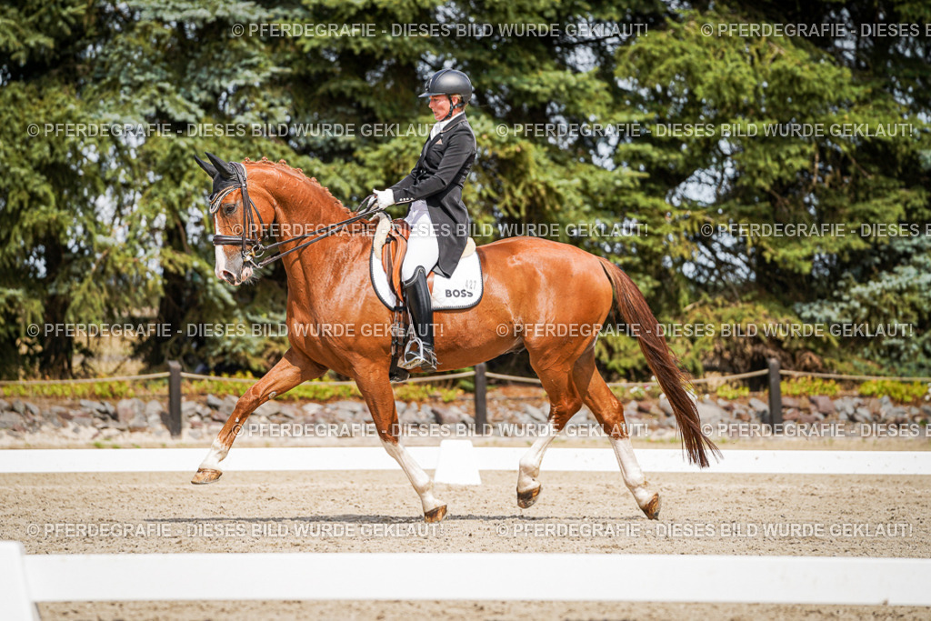 DSC06431 | Pferdegrafie