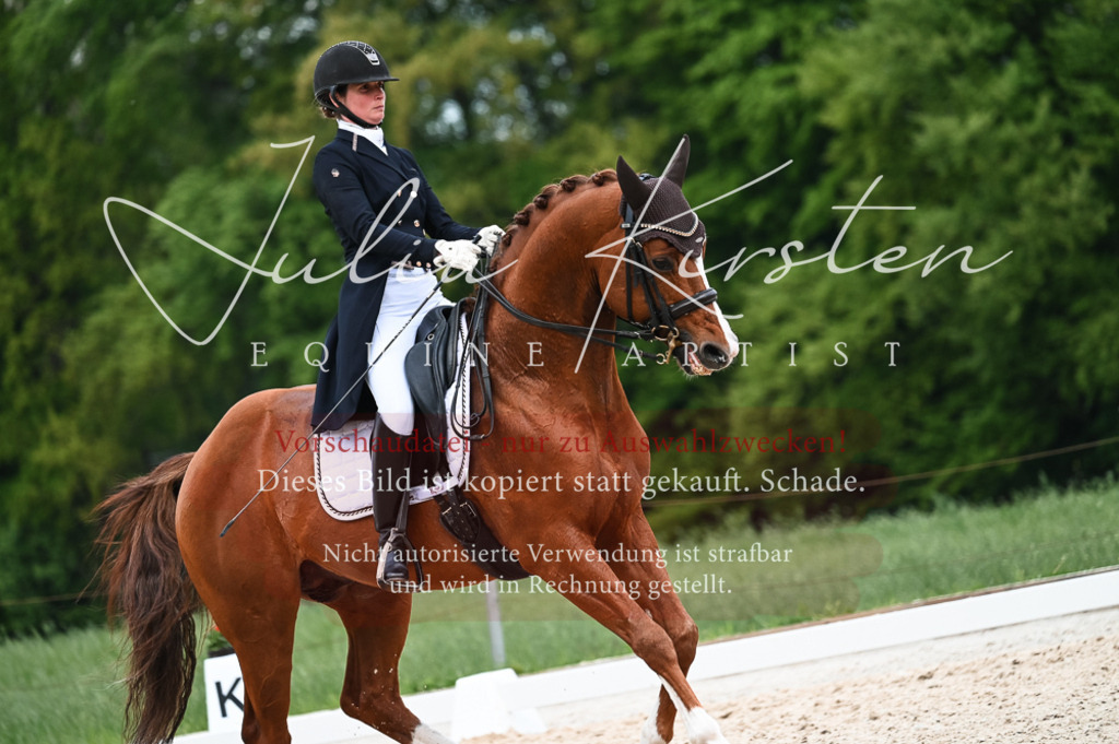 20230513_JK-Röhrsdorf-13-607 | Pferde- und Turnierfotografie in Westsachsen. Pferdeportraits, Auftragszeichnungen und intuitive Kunst.