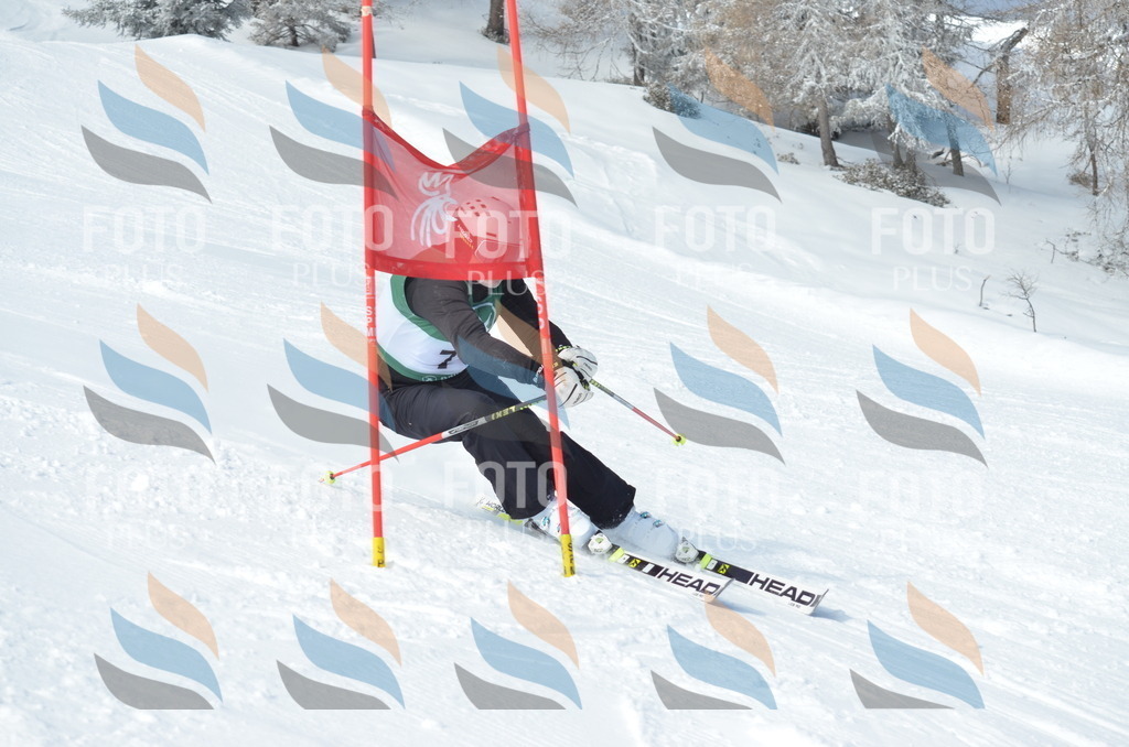 D8988 | holidayphoto