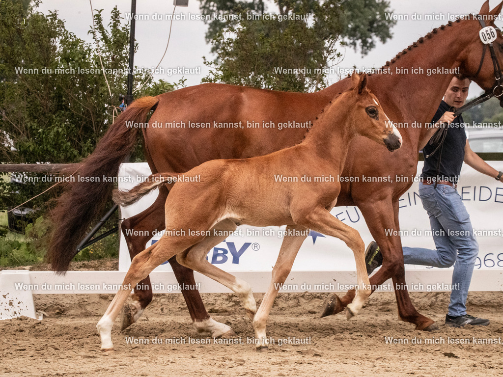 A10I5649 | photographylinaismer - Realisiert mit Pictrs.com