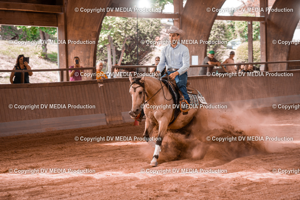 NE300695 | dv-media-shop - Realisiert mit Pictrs.com