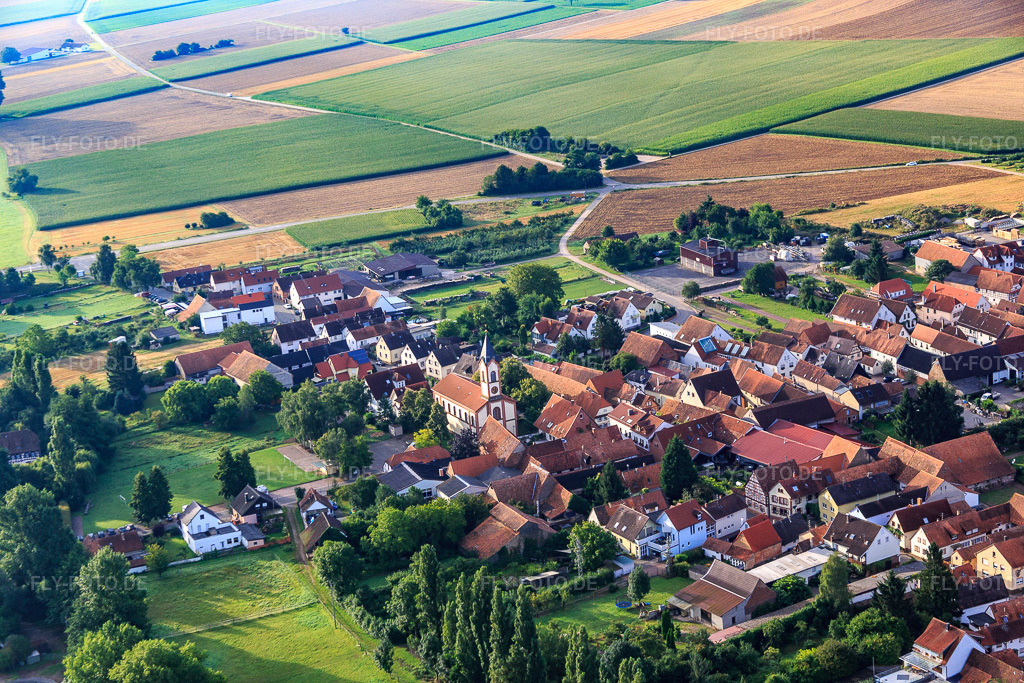 Luftbild: Ortsansicht von Westen im Ortsteil Mühlhofen in Billigheim-Ingenheim im Bundesland Rheinland-Pfalz in Deutschland. Foto: IMG_092791.jpg vom 13.08.2016 durch Werner Riehm/FLY-FOTO.de