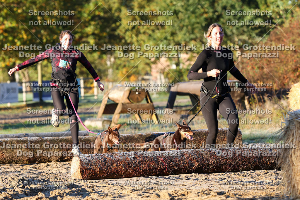 Dog Paparazzi - Strongdog 10-25-591 | Dog Paparazzi Jeanette Grottendiek Fotografie & Videografie - Realisiert mit Pictrs.com