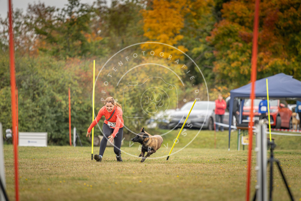 Pfotenfotografie_DV3A4092 | Hundefotografie, Tierfotograf, Pfotenfotografie, Fotoshooting Hund, Hunde Portrait, Hundesport, Hundeportraits, Heideshooting, Hunde, Sportfotograf, Hundefotograf, Turnierhundsport, THS,  - Realisiert mit Pictrs.com