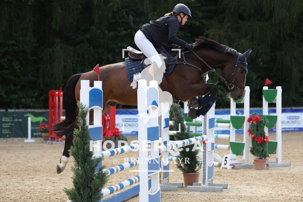 0P6A3001 | Willkommen bei Brunnmayr - Design & Fotografie – Ihrem Spezialisten für Reitturniere und Pferdeveranstaltungen in Oberösterreich, Salzburg und Bayern! Seit über 17 Jahren sind wir leidenschaftlich dabei.