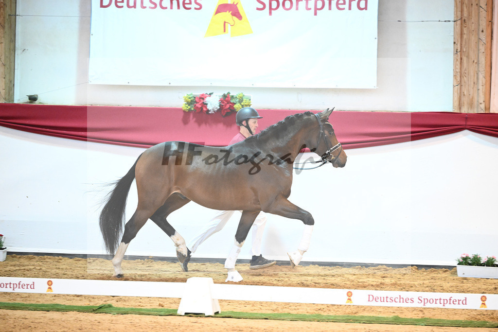 Kat-Nr. 14 Christ x Quattro B_Goeth_43231682 | hf-fotografie - Realisiert mit Pictrs.com