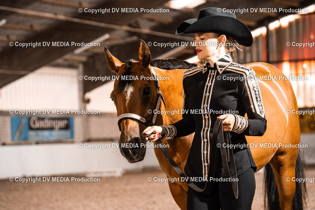 ZH200077 | dv-media-shop - Realisiert mit Pictrs.com