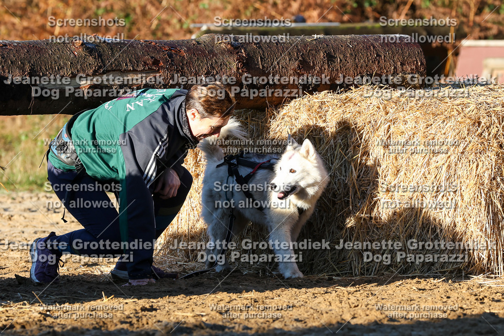 Dog Paparazzi - Strongdog 10-25-936 | Dog Paparazzi Jeanette Grottendiek Fotografie & Videografie - Realisiert mit Pictrs.com