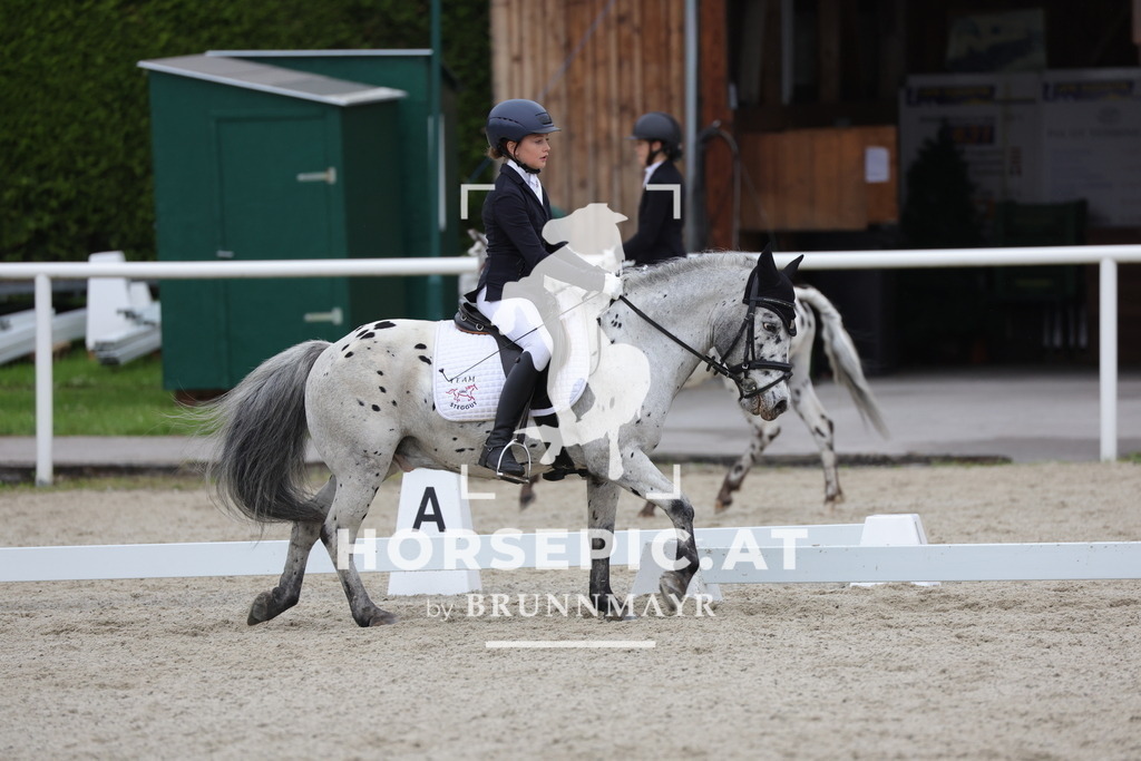 0P6A5632 | Willkommen bei Brunnmayr - Design & Fotografie – Ihrem Spezialisten für Reitturniere und Pferdeveranstaltungen in Oberösterreich, Salzburg und Bayern! Seit über 17 Jahren sind wir leidenschaftlich dabei.