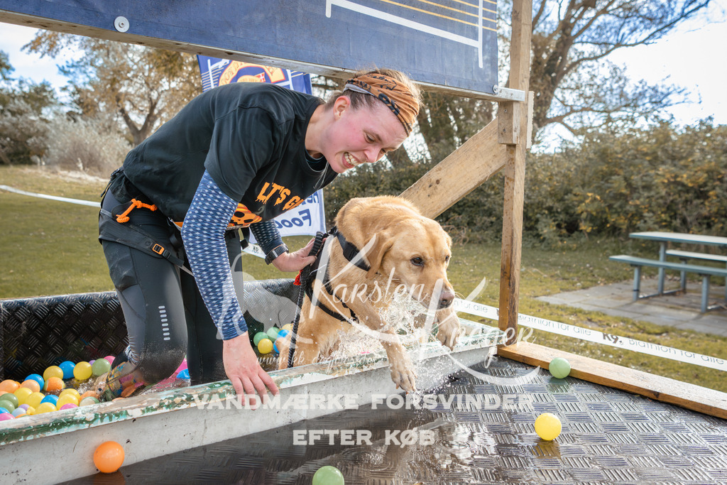 1412_ZZ93943-2 | kk-dogfotos