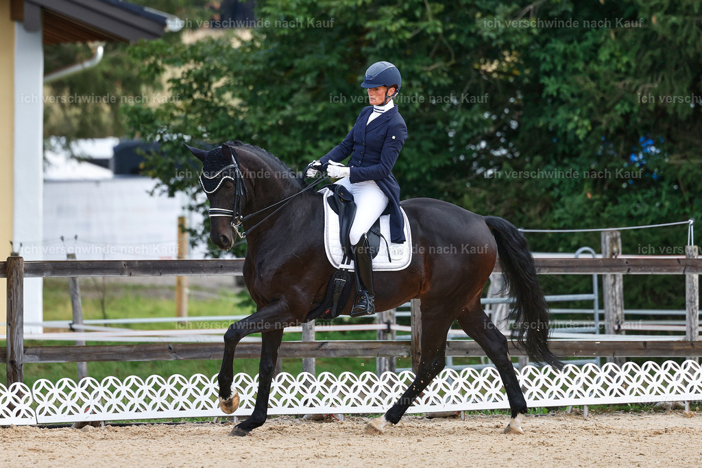 10-115-ST.GEORG SPECIAL -StoibPH-3182 | working equitationturnier fotograf videograf stoibphotography marixx film working equitation deutschland reitsport turnierfotografie eventfotografie equestrian events