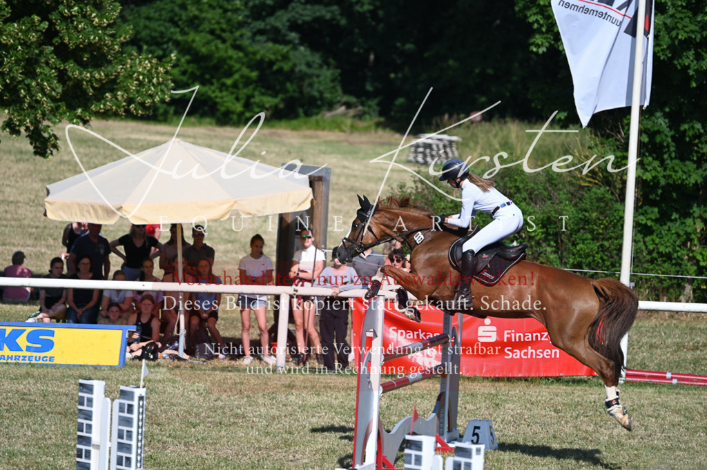 DSC_2295 | Pferde- und Turnierfotografie in Westsachsen. Pferdeportraits, Auftragszeichnungen und intuitive Kunst.