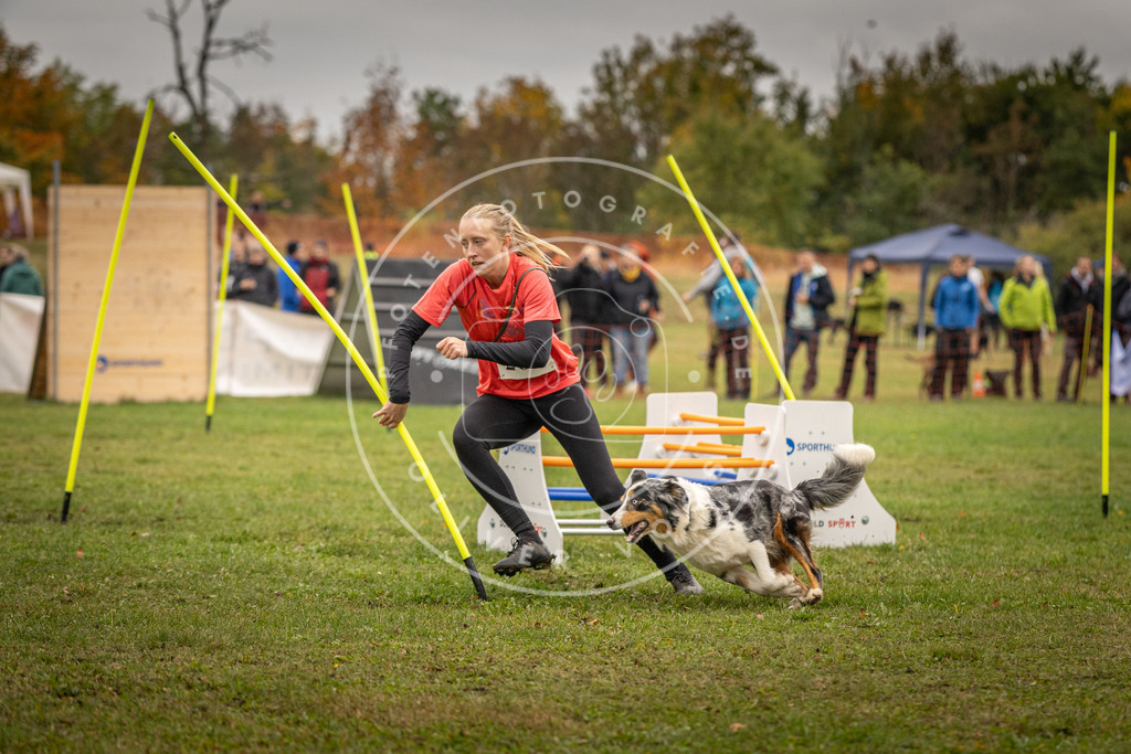Pfotenfotografie_DV3A7110 | Hundefotografie, Tierfotograf, Pfotenfotografie, Fotoshooting Hund, Hunde Portrait, Hundesport, Hundeportraits, Heideshooting, Hunde, Sportfotograf, Hundefotograf, Turnierhundsport, THS,  - Realisiert mit Pictrs.com