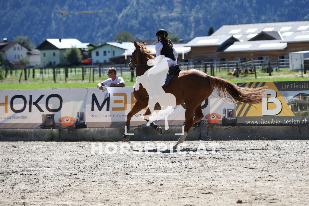 DL2Q0689 | Willkommen bei Brunnmayr - Design & Fotografie – Ihrem Spezialisten für Reitturniere und Pferdeveranstaltungen in Oberösterreich, Salzburg und Bayern! Seit über 17 Jahren sind wir leidenschaftlich dabei.