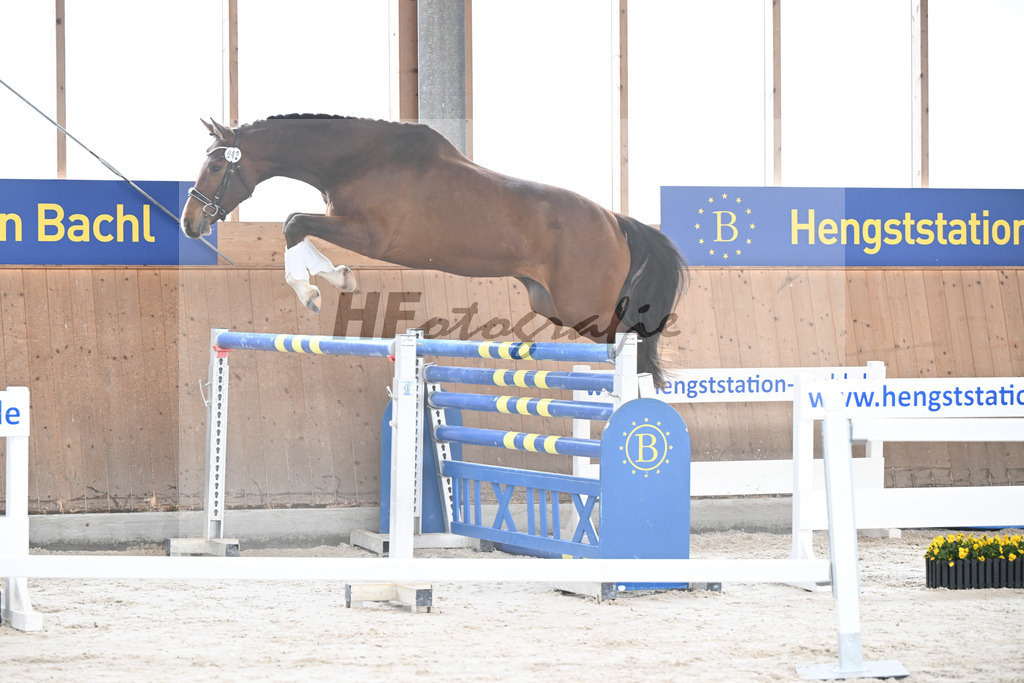 Kat-Nr. 42 Desperado v. Diago_Grundner_5251641 | hf-fotografie - Realisiert mit Pictrs.com
