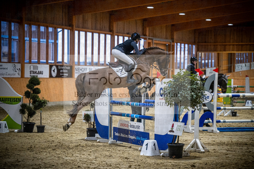 DOS_2649 | Entdecke hochwertige Reitturnierfotos von Foto Oger. Professionell, emotional und authentisch – jetzt Lieblingsmomente im Shop bestellen.Deutschlandweite Turnierfotografie. - Realisiert mit Pictrs.com