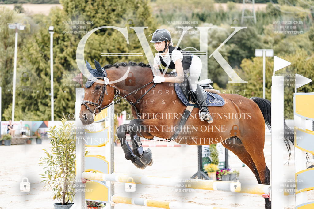 CK907989 | Turnierfotografie Pferdefotografie Trier Rheinland-Pfalz Pferdesport Reitsport Tierfotografie Sportfotografie Pferdevideo Pferdevideografie Equestrianvideography equestrianphotography  - Realisiert mit Pictrs.com