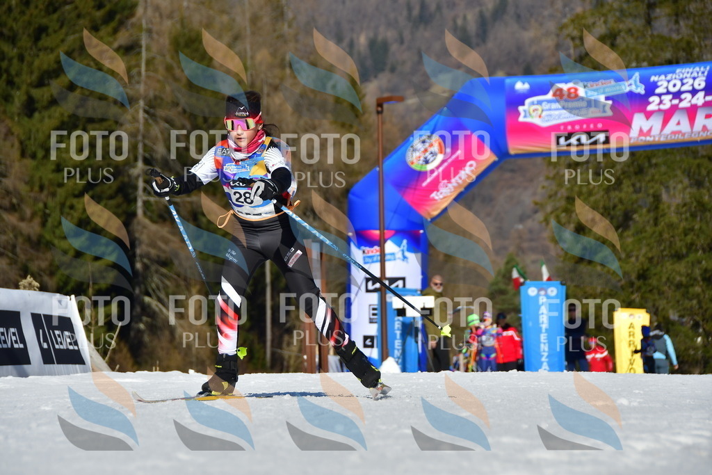 _DSC8861 | holidayphoto