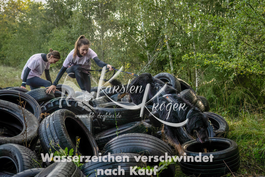 1009_ZZ93728-Bearbeitet | kk-dogfotos
