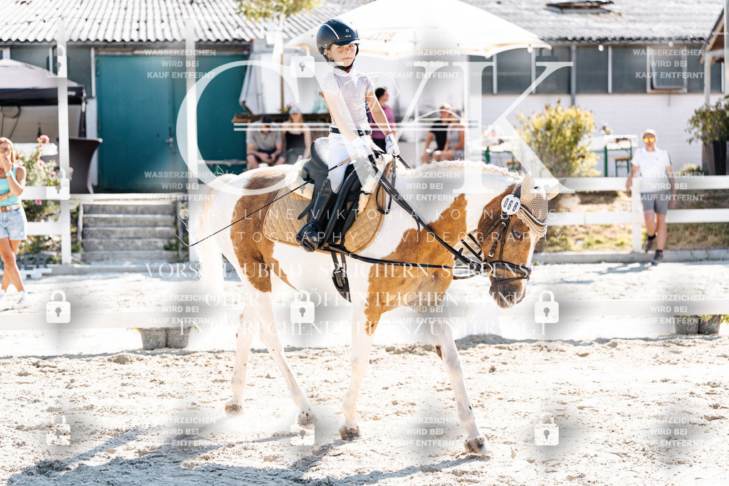 CK903276 | Turnierfotografie Pferdefotografie Trier Rheinland-Pfalz Pferdesport Reitsport Tierfotografie Sportfotografie Pferdevideo Pferdevideografie Equestrianvideography equestrianphotography  - Realisiert mit Pictrs.com