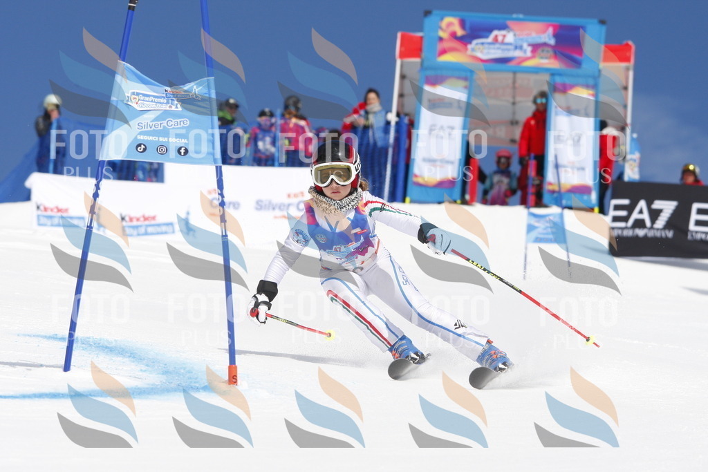 _W1G0999 | holidayphoto