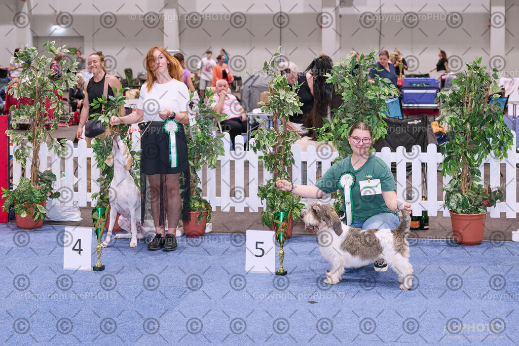 202406_ÖKV-IHA-Tulln24_NZ9_8704 | proPHOTO - Realisiert mit Pictrs.com