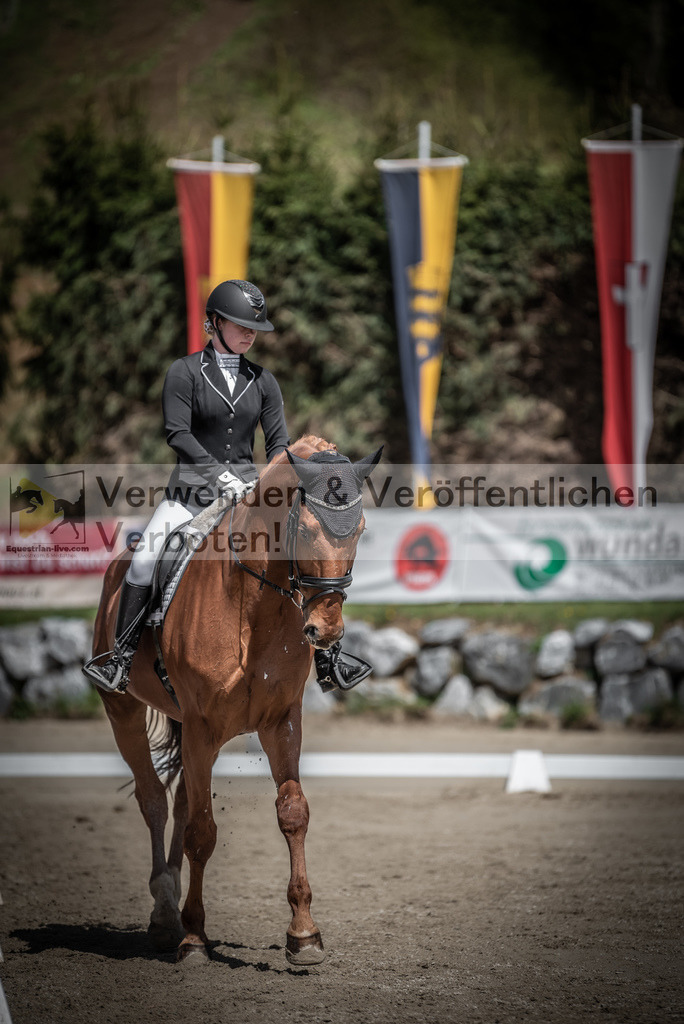 DSC_0741 | equestrian-live-com
